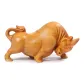 Thuja[Money Bullfight]Collectible