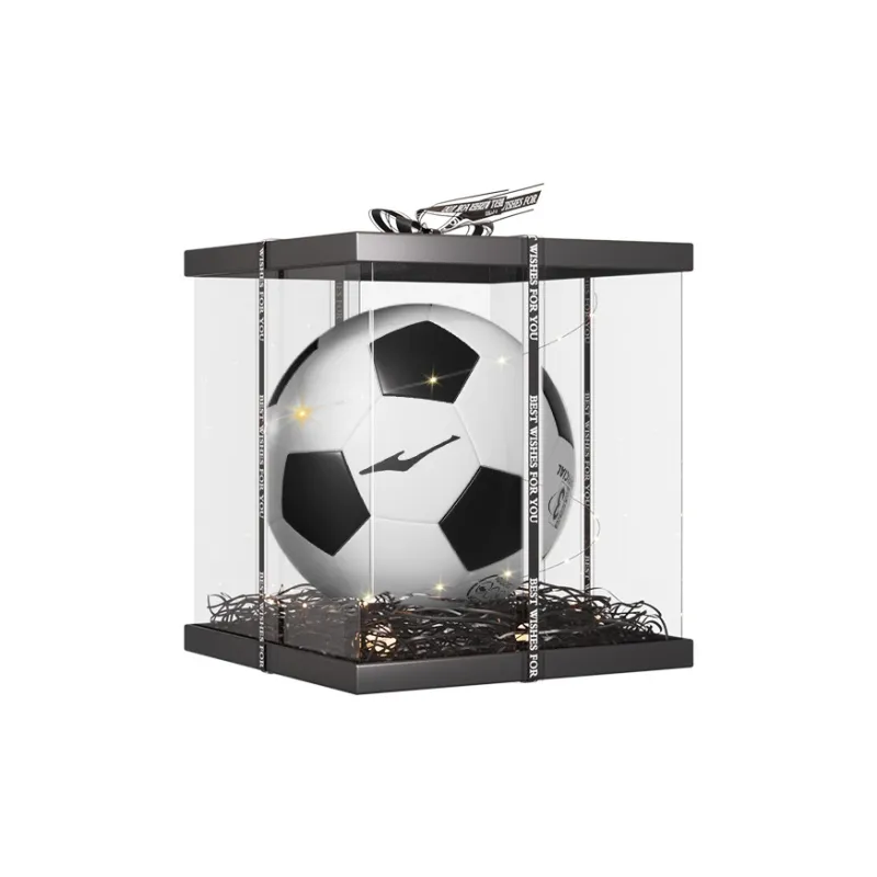 Erke Size 3, Size 4, Size 5 Machine Stitched Soccer Ball TPU Unisex Black White-7