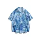 Hebrides Blue (77019)