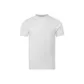 White Tight Fit Short-Sleeved 2025