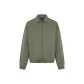 Gray Green