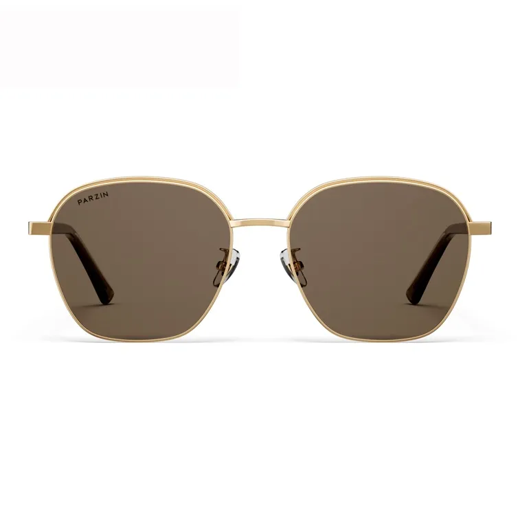 PARZIN Alloy Plate Frame Irregular Shape Sunglasses Men's-1