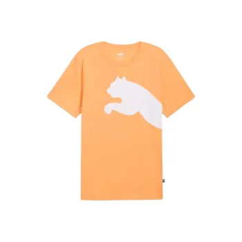 PUMA ACTIVE Regular T-Shirt Men's Orange