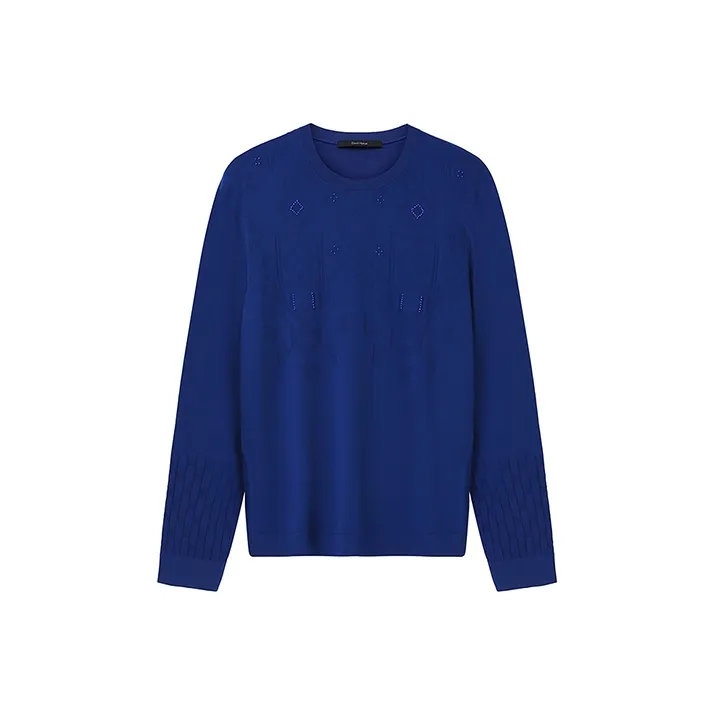 DAVID NAMAN Sweaters Men Royal Blue-0