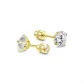 Gold-Iridescent Star Stud Earrings (6MM)