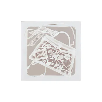 HERMES Please Undergo Security Screening Silk Scarves Women's Silver Gray