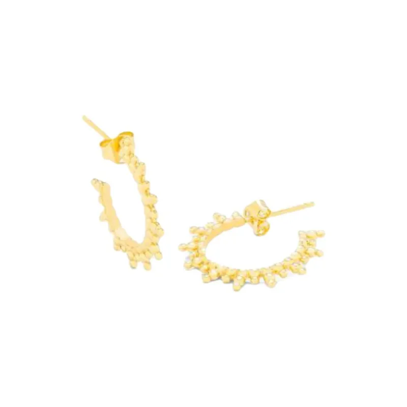 Radiant 925 Sterling Silver, Gold Plated Earrings Women's Gold-0