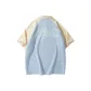 Light Blue with Beige Apricot Sleeves