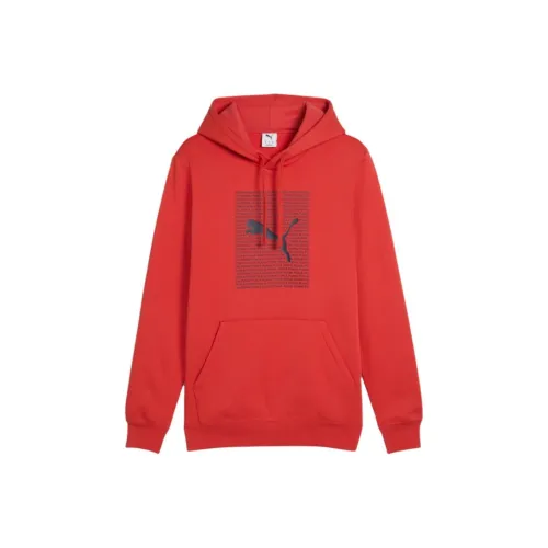 PUMA Essentials Logo Lab Hoodie Men