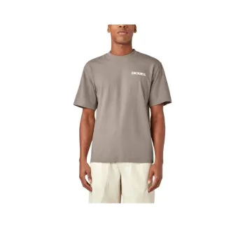 Dickies T-Shirts Men Gray