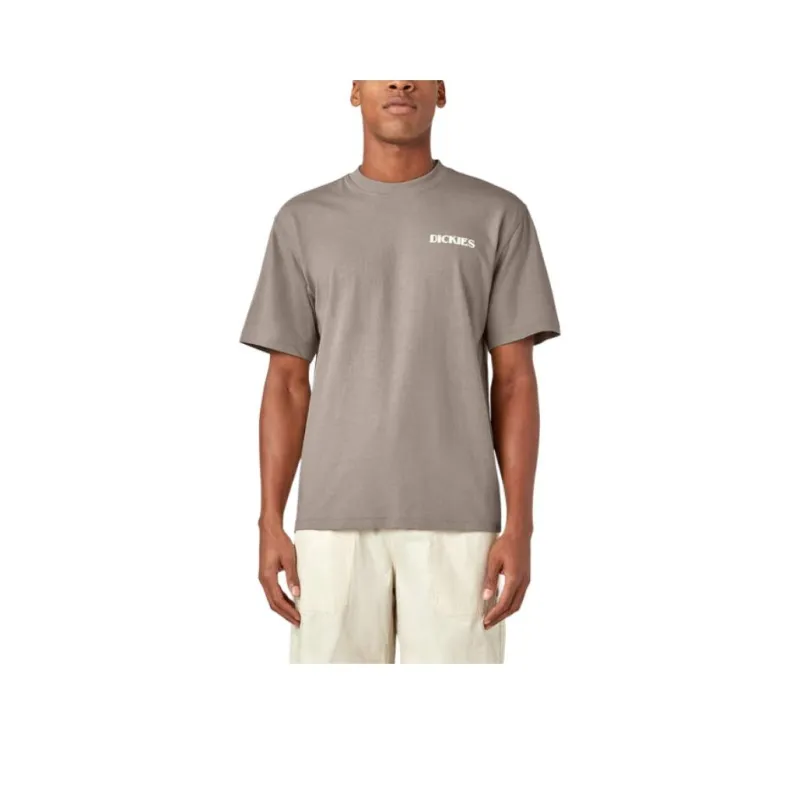Dickies T-Shirts Men Gray-0