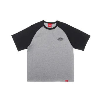 Dickies T Shirts Men