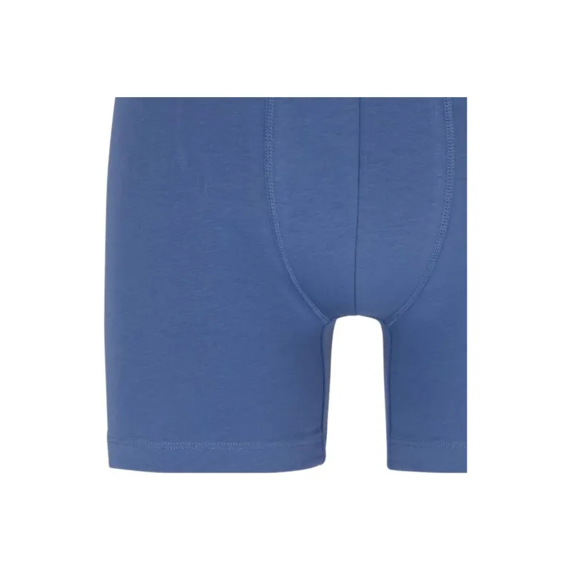 HUGO BOSS FW23 Stretch-Cotton Boxer Briefs With Stripe-Framed Logos Boxer Shorts Men's Light Blue-2