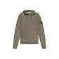 Gray Green