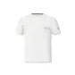 Mist White