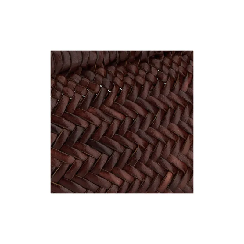 Dragon Diffusion Backpacks Brown-3