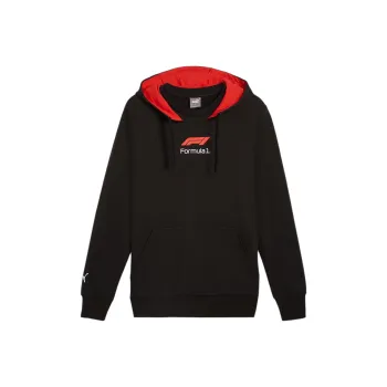 PUMA F1® Men's Graphic Hoodie