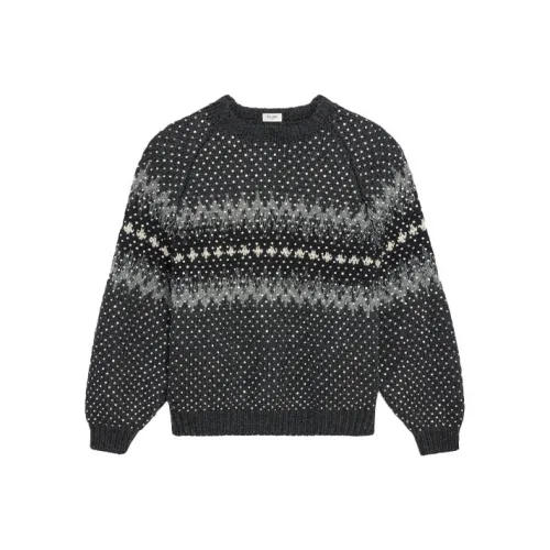 CELINE FW21 Knitwear Men's Gray