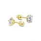 Gold-Starry Sky Stud Earrings (5MM)