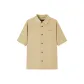 Light Khaki
