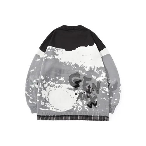 GENANX paisley Sweaters Unisex
