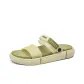 Matcha Green