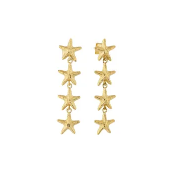 Radiant Stainless Steel Earrings Women's Gold