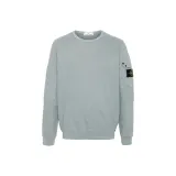 Blue Felt Sage