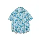 Sicily Blue (77013)