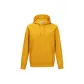 Ginger Yellow