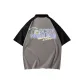 Gray Umber Black