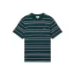 PT2/Green/Navy Blue Stripes