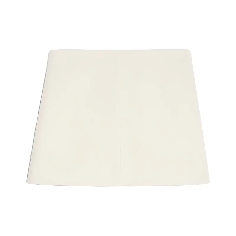 CELINE Casual Short Skirts Women's Pink Chalk White-1