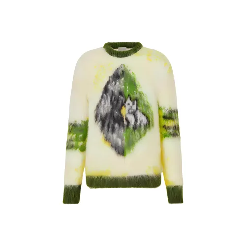DIOR Quarterly New Products sweaters undercover Men Green