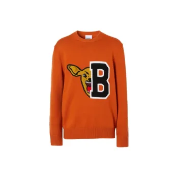 Burberry Sweaters Men Orange