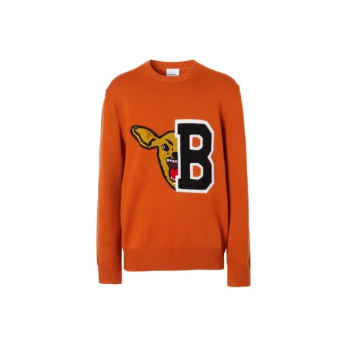 Burberry Sweaters Men Orange