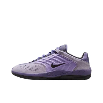 Nike Sb Vertebrae Low Top Casual Shoes Men's Purple