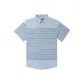 Gray Stripes