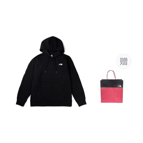 THE NORTH FACE Evolution Vintage '' Hoodie