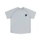 Ice Blue Gray