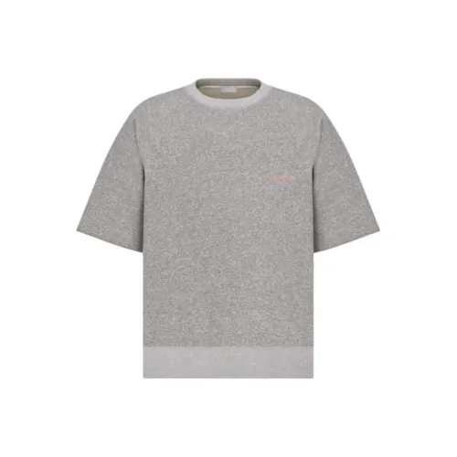 DIOR T-Shirts Men Gray
