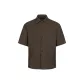 Dark Chestnut