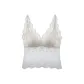 Champagne White