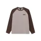 Amber Tea Brown/Apricot Gray