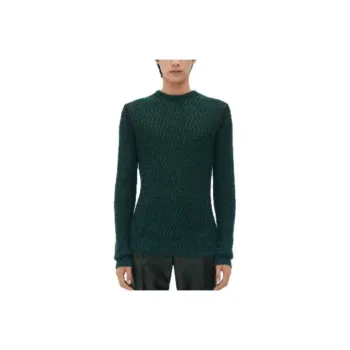 Bottega Veneta Sweaters Men Green