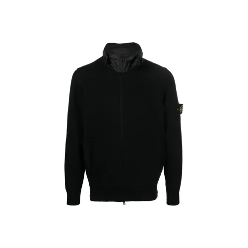 Polo Bear colour block hoodie