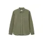 BMY/Khaki Green