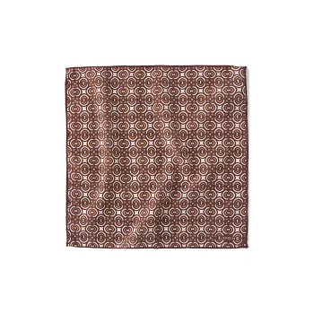 LARDINI Cotton Silk Scarves Unisex Russet