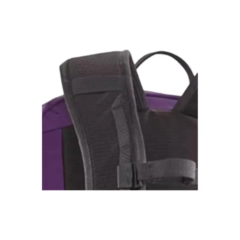 Patagonia Recycled Polyester Backpack Unisex Purple-4