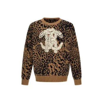 Roberto Cavalli SS24 Sweater Men's Brown
